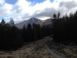 entre fôrets et montagnes